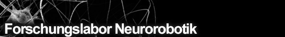 Neurorobotics Research Laboratory